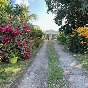 Jardin Des Anges-bungalows Creoles Et Le Moule